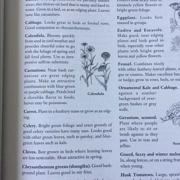 Big book of gardening - Picture 6 of 7